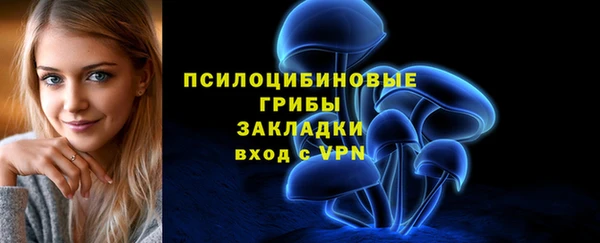 таблы Белокуриха