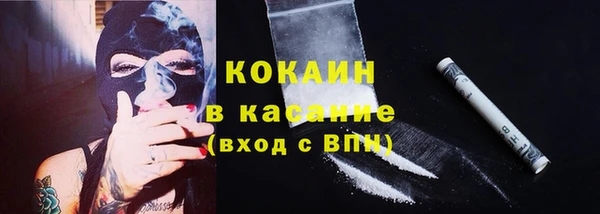 mix Богородицк