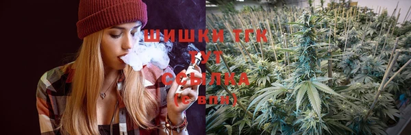 mix Богородицк