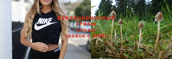 mix Богородицк